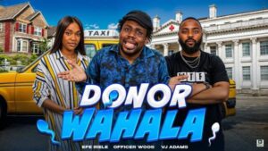 Donor Wahala (2025) – Comedy