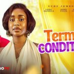 Terms and Conditions (2025)